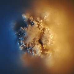 3d render, blurry background, microorganism, pathogenic organism, microbiological abstract shapes, virus cell, bacteria, macro tissue, natural sponge texture, moss