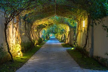 Fototapeta na wymiar Garden path in resort with warm light and trees on side at evening, Garden Decoration.
