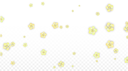 Vector Realistic Yellow Flowers Falling on Transparent Background.  Spring Romantic Flowers Illustration. Flying Petals. Sakura Spa Design. Blossom Confetti. Design Elements for Wedding Decoration.