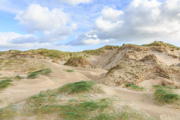 Fototapeta na wymiar Dune valleys with deep wind holes carved out by heavy storm with swaying marram grasses with scattered clouds against blue sky