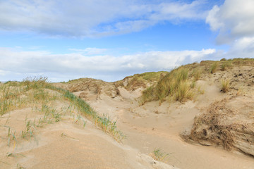 Dune valleys with deep wind holes carved out by heavy storm with swaying marram grasses with scattered clouds against blue sky
