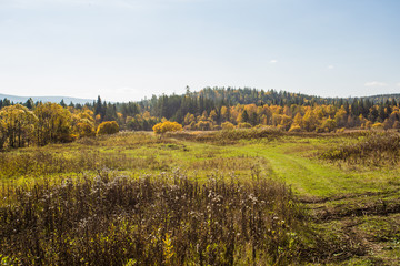 landscape in autumn