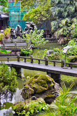 Chinese garden park