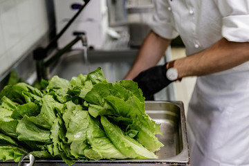 Gourmet, vegan, chef, preparing a vegetarian meal for the homeless, in Italian restaurant. Charity night in Europe, fundraising for local, social balance.