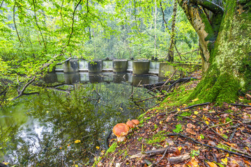Watercourses with  remnants of hydraulic experimental installations in the Waterloopbos in the...