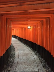 The red gates in a Japanese shrine