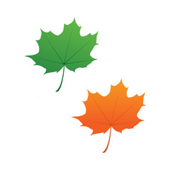 maple leaf logo icon design template vector
