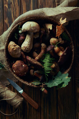 top view of fresh raw various edible mushrooms in basket, knife and rope on wooden table