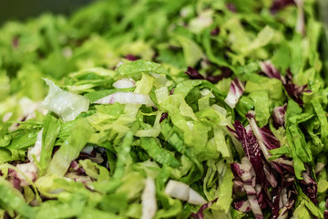 Gourmet, vegan, chef, preparing a vegetarian meal for the homeless, in Italian restaurant. Charity night in Europe, fundraising for local, social balance.