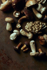 top view of various raw edible mushrooms on dark grunge background