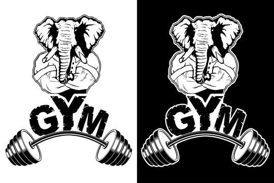 Vector design for a gym with an abstract image of a strong elephant.