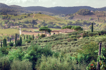 Landscape of Tuscany with garden trees, mansion, green hills and pines. Italian countryside at sunrise in province of Siena, Italy