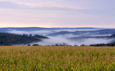 morning foggy valley