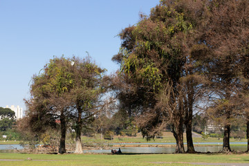 Barigui Park curitiba paraná brazil rodtonph