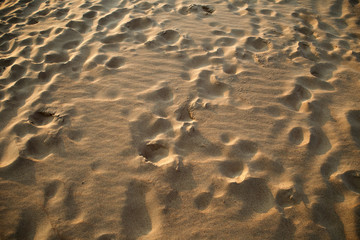 closeup of sand pattern of a beach in the summer