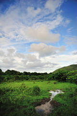 Obraz premium Wetland Sky