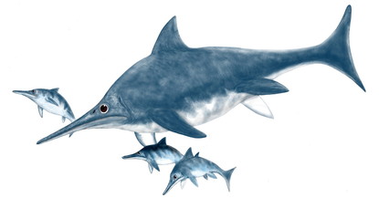 ステノプテリギウス、魚竜目の海棲爬虫類。体長は3メートル程度だが、最も水中に適応した現代のイルカのようなフォルム。残された化石では後頭部が盛り上がっている。イラストでは背びれ迄滑らかな盛り上がりに描いた。ジュラ紀前期から中期にかけてヨーロッパの海域に生息した。卵生だがメスの体内で孵化し、海中で体外に産み落としたと思われる。母親と3頭の幼体を描いた。背景はなし。