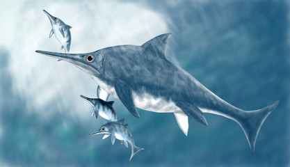 Obraz premium ステノプテリギウス、魚竜目の海棲爬虫類。体長は3メートル程度だが、最も水中に適応した現代のイルカのようなフォルム。残された化石では後頭部が盛り上がっている。イラストでは背びれ迄滑らかな盛り上がりに描いた。ジュラ紀前期から中期にかけてヨーロッパの海域に生息した。卵生だがメスの体内で孵化し、海中で体外に産み落としたと思われる。母親と3頭の幼体を描いた。背景を描いている。