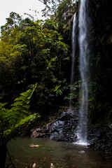 Fototapeta na wymiar Waterfall in wildlife with tourist swimming