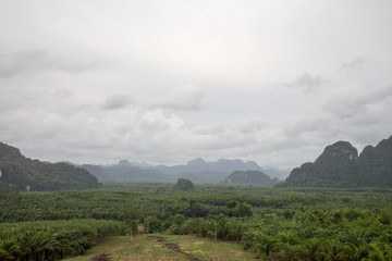 landscape in asia on a cloudy day