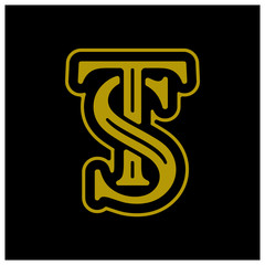 Initial ST logo design vector template