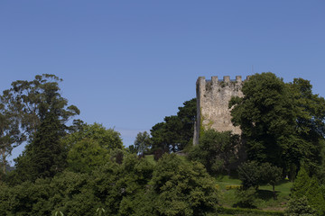 Fototapeta na wymiar San Martin castle