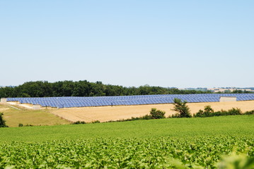 Fototapeta na wymiar champs de panneaux photovoltaïques