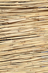 Braune Bambusrohre, Hintergrund