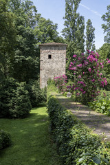 Fototapeta na wymiar torre medioevale