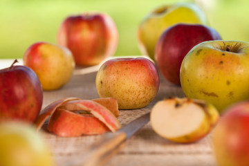 Naklejka na ściany i meble Fresh apples from the garden - closeup