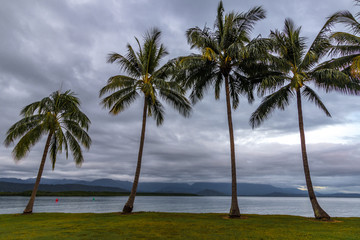 Sunrise over palm trees and ocean with cloudy sky