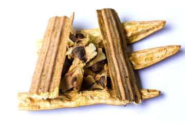 Moringa oleifera leaves and flower