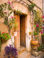 Fototapeta na wymiar A typical Mediterranean house with a front door decoration of flower pots with colorful plants