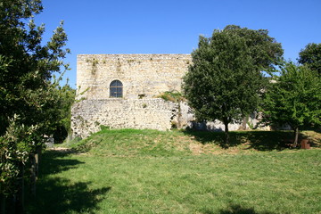 Fototapeta na wymiar les vestiges du château de Banne en Ardèche