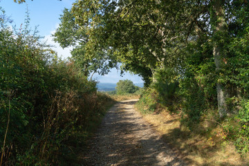 Fototapeta na wymiar Little walkng trail near Chapdes-Beaufort in France.
