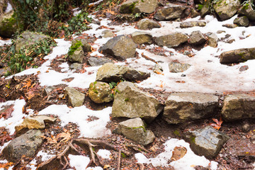 Autumn nature with rocks and leaves in Troodos mountains in Cyprus