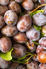 Fresh plums with a few leaves.