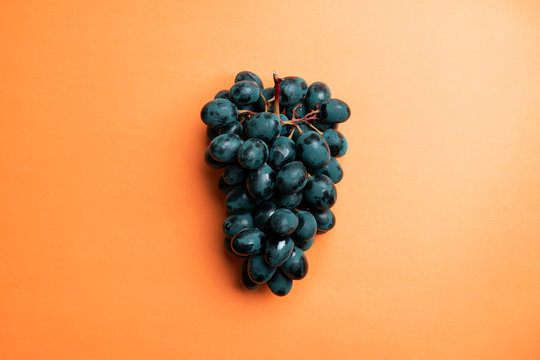 Dark Blue Grapes