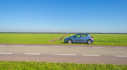 Fototapeta premium Countryside road in green farmland below a blue sky at fall