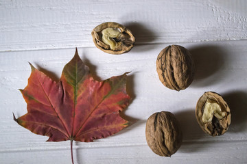 Beautiful fallen leaves and walnuts on a white wooden table.