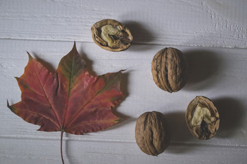 Beautiful fallen leaves and walnuts on a white wooden table.