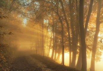 Sonnenstrahlen im Spätherbst