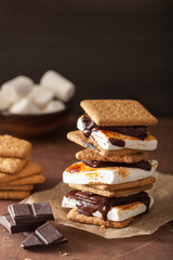 homemade marshmallow s'mores with chocolate on crackers