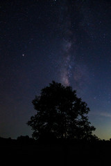 Fototapeta na wymiar Sky background at night and Milkyway
