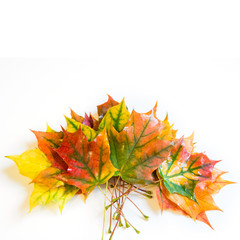 Autumn colorful bunch leaves on white. Top view and copy space.