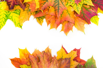 Autumn colorful leaves as border with white space for text. Top view. Fall frame.