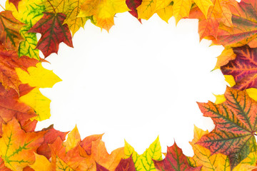 Naklejka na ściany i meble Autumn colorful leaves as border with white space for text. Top view. Fall frame.
