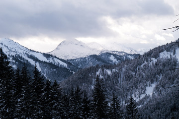 Winterlandschaft Winter Wald Schnee Baum Berge Winterwald Schneelandschaft 