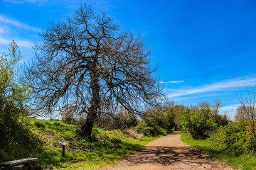 The Caffarella park in the city of Rome, Appia Antica, Almone river