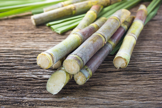 Close up sugarcane on wood background close up..